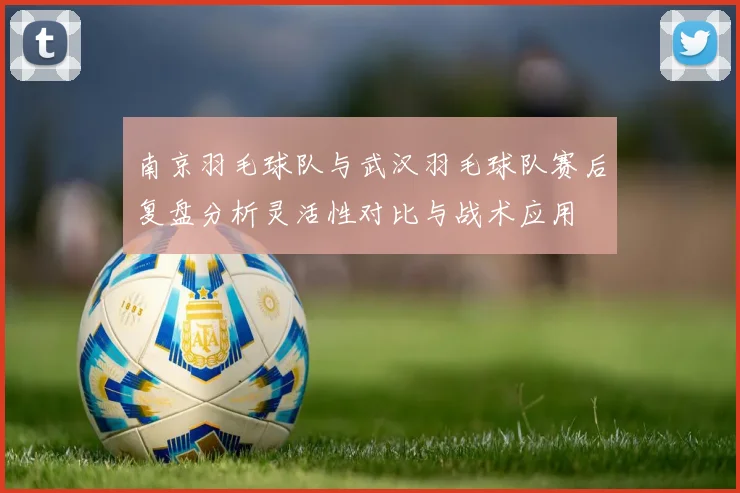 南京羽毛球队与武汉羽毛球队赛后复盘分析灵活性对比与战术应用